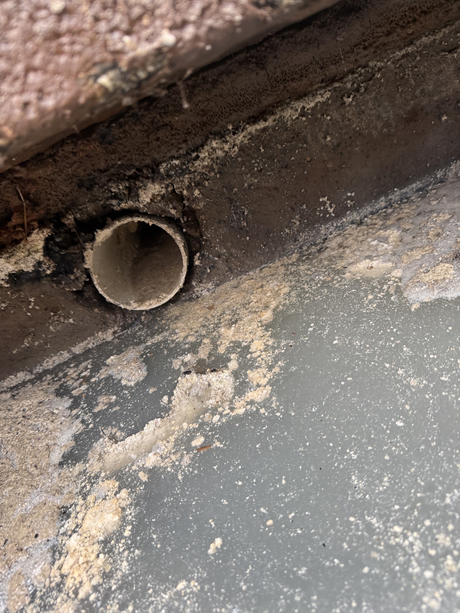 Close-up of a concrete septic tank outlet pipe inspected during a pump-out