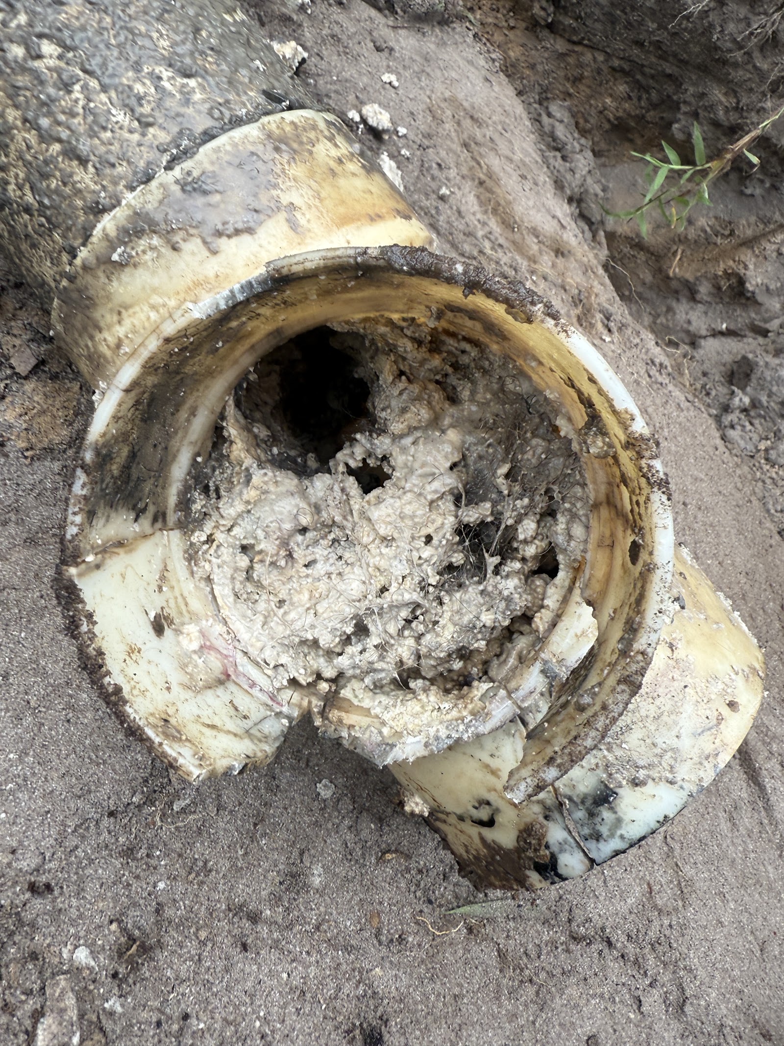 Septic tank opened for pumping showing accumulated sludge and solids inside