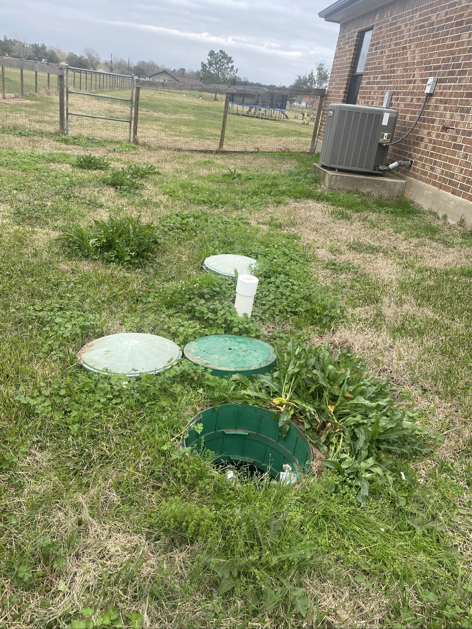 Septic tank access covers visible in overgrown residential yard